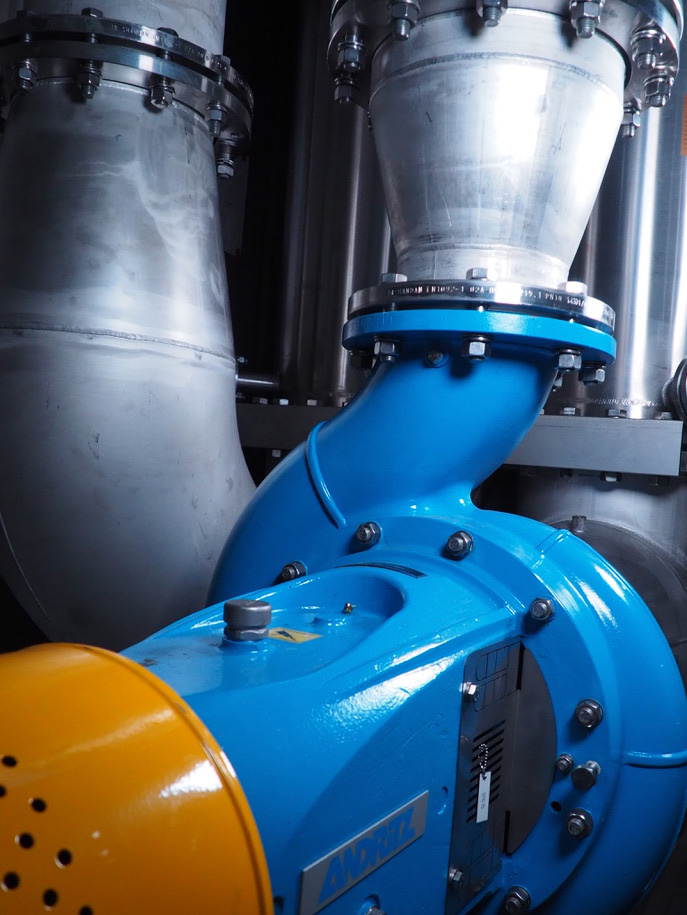 memzep-bearbeitet-13